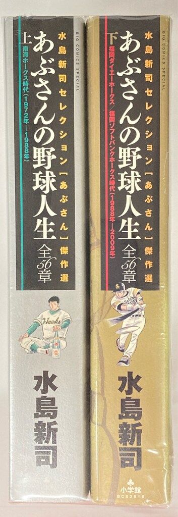 小学館 ビッグコミックススペシャル 水島新司 !!)あぶさんの野球人生