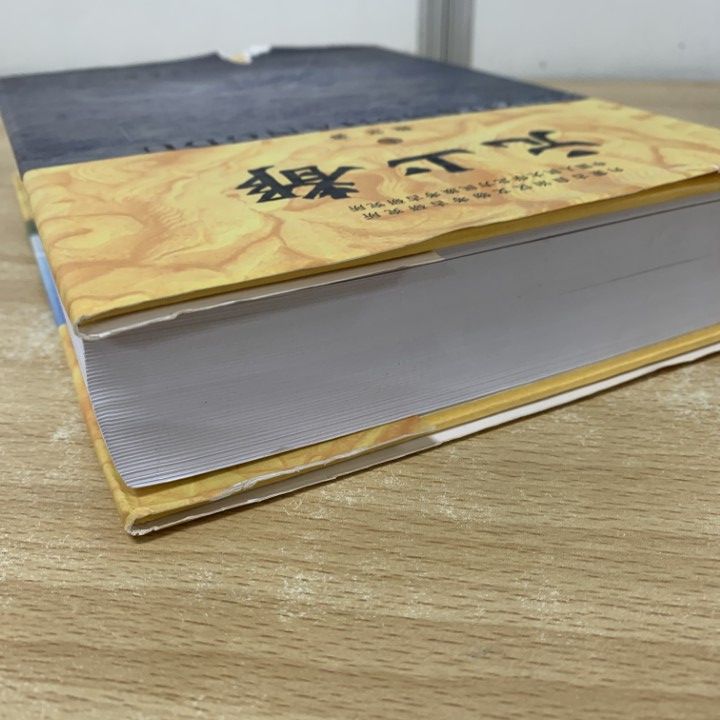 01 ! 元上都 上巻 魏堅 内蒙古自治区文物考古研究所 中国大百科全書出版社 2008年 中文書 モンゴル 元朝 ザナドゥ遺跡 墓葬 A