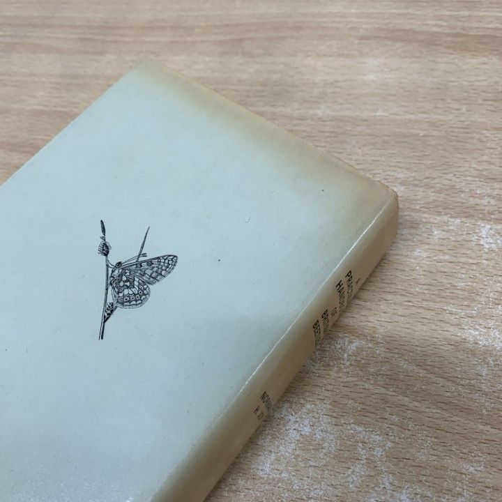 ▲01)【1点限り!】【希少本】英国甲虫 実用ハンドブック/A Practical Handbook of British Beetles/Norman H.Joy/1976年/洋書/イギリス/A △01)【1点限り!】【希少本】英国甲虫 実用ハンドブック/A Practical