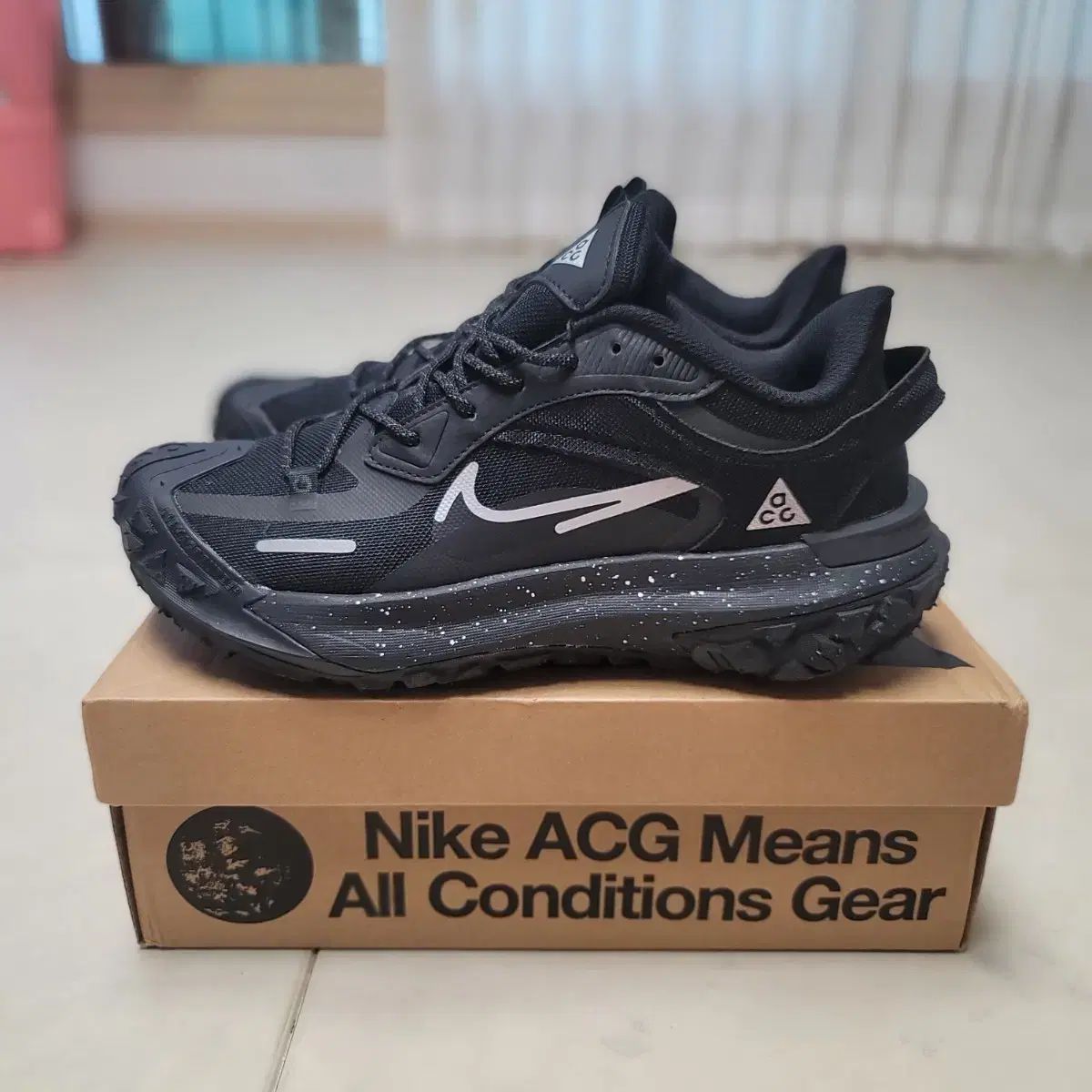 ナイキ ACG マウンテン フライ ロー 275 mm