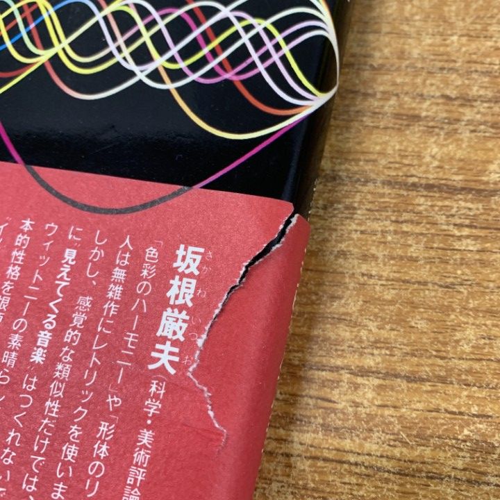 デジタルハーモニー / ジョン・ウィットニー Digital Harmony: On the Complementarity of Music and Visual Art