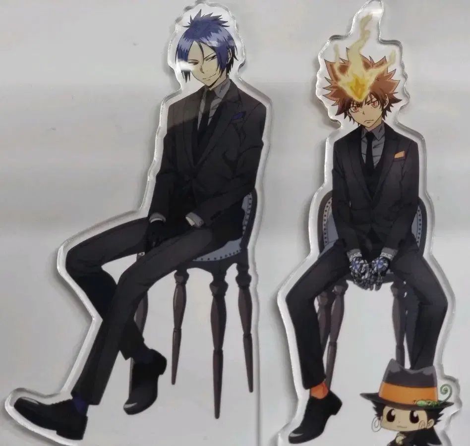 六道 骸 沢田 綱吉 アクリル 家庭教師ヒットマンREBORN! 良い