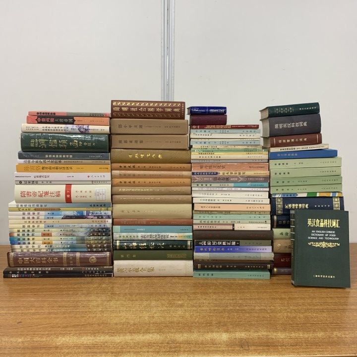 03 ! 中国古典文学 霊視 美術 考古学など 中文書 約90冊大量 周恩来 歴史 古文 文化 民俗 B