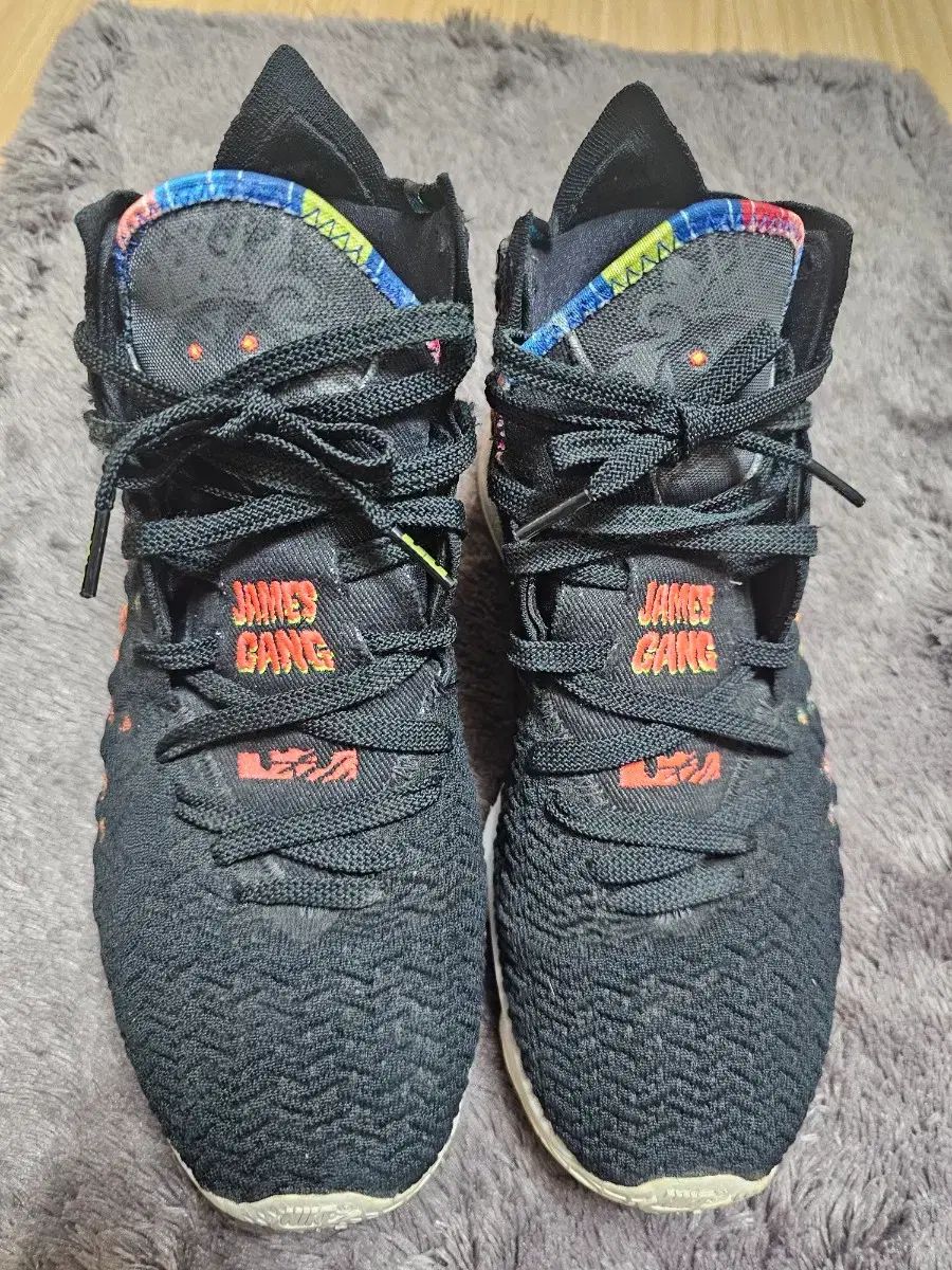 レブロン17 ジェームス