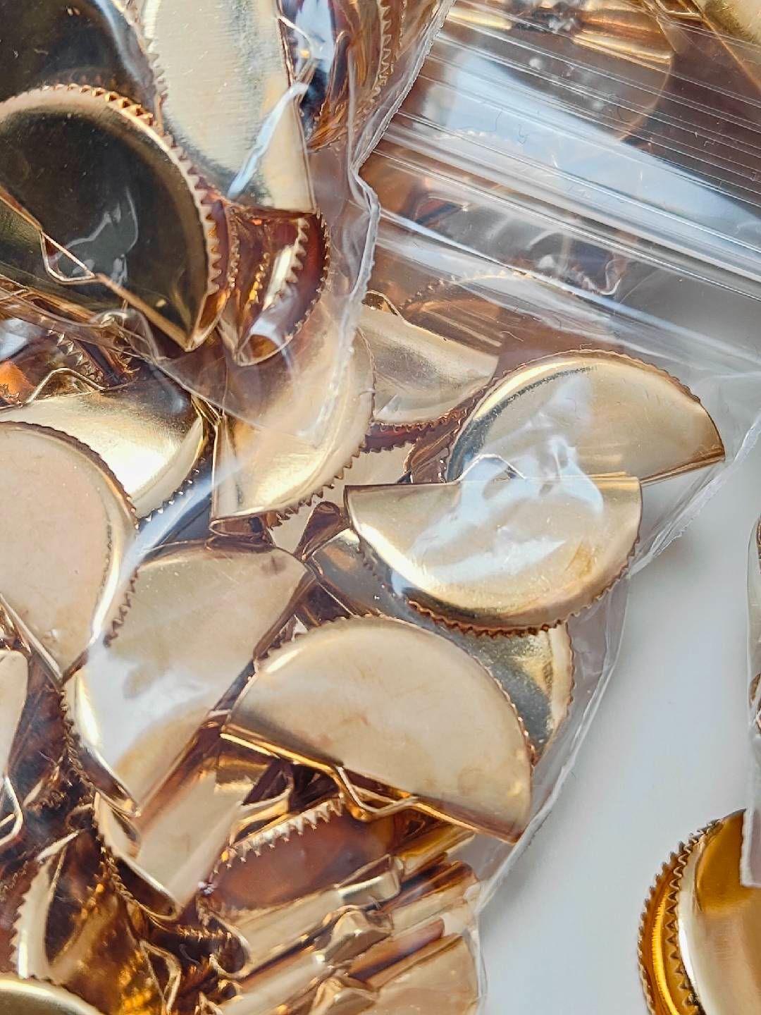 訳ありですが大変お買い得】100個 扇形 ワニカン Z164 - メルカリ