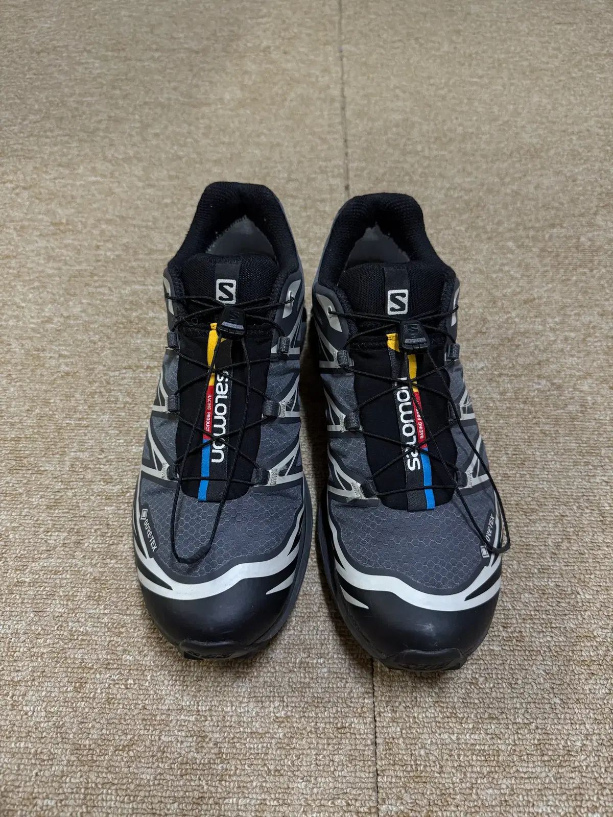 6 ゴアテックス