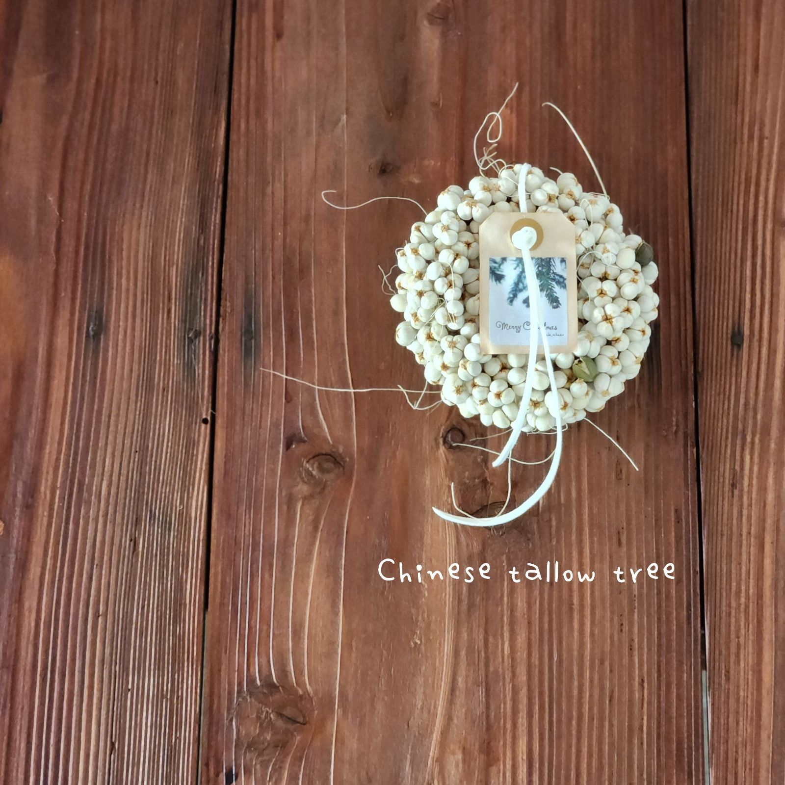 ナンキンハゼの小さなリース〗ドライフラワー 白 ホワイトインテリア