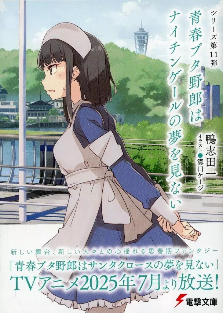 中古】ライトノベル文庫サイズ 限定）青春ブタ野郎はナイチンゲールの