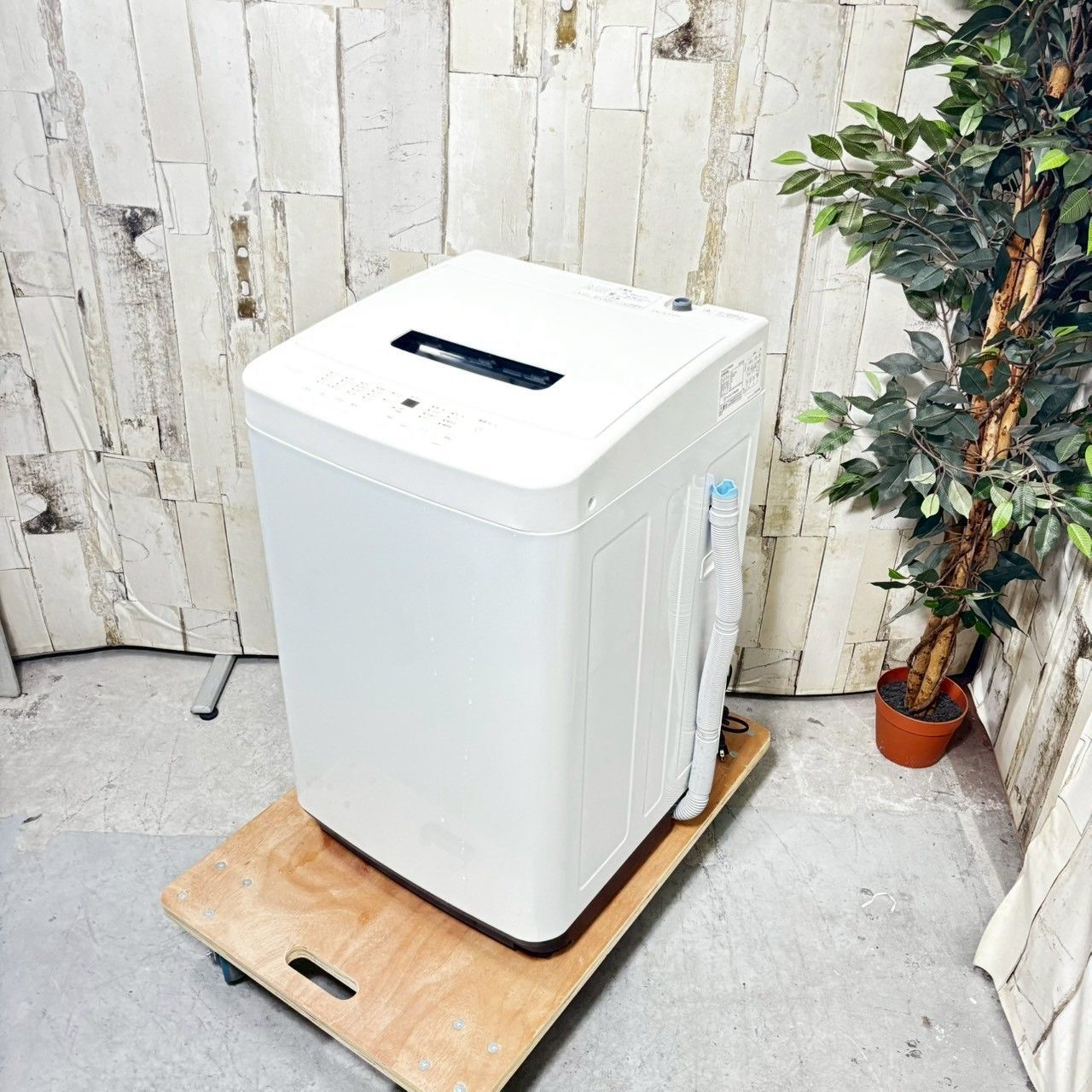 2022年製】IRIS OHYAMA アイリスオーヤマ IAW-T504 洗濯機 5.0kg