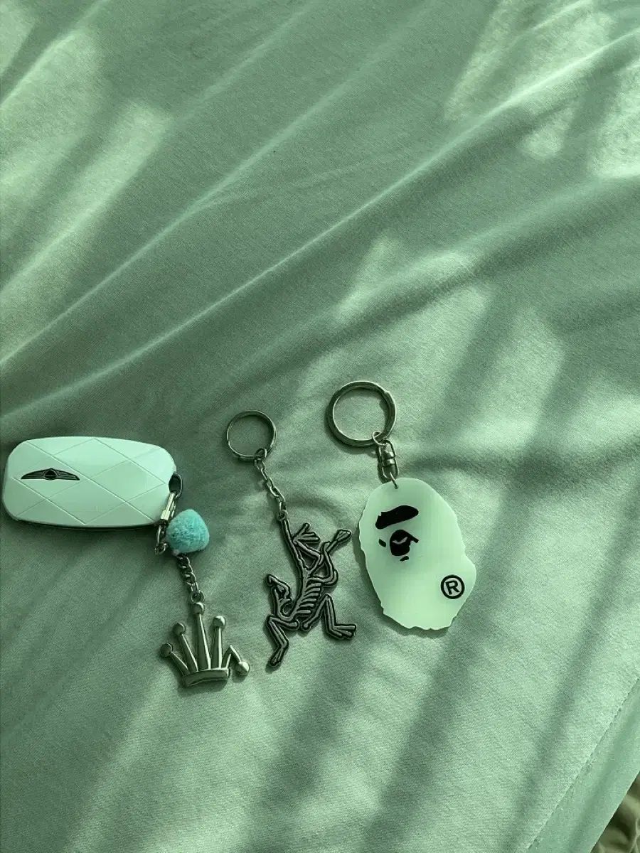 キーホルダー個別 ARC TERYX STUSSY A BATHING APE