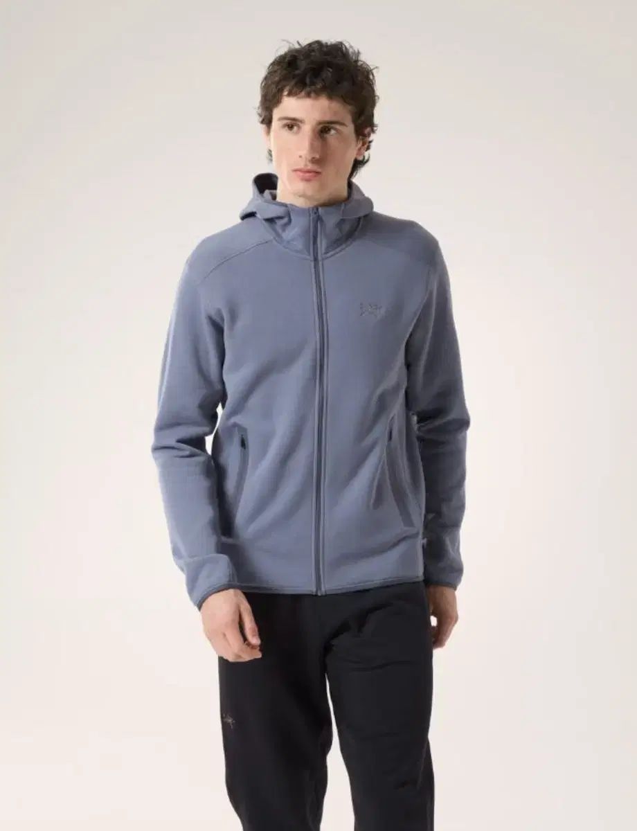 ARC TERYX アークテリクス カイ アークナイト フーディー ストラタス S