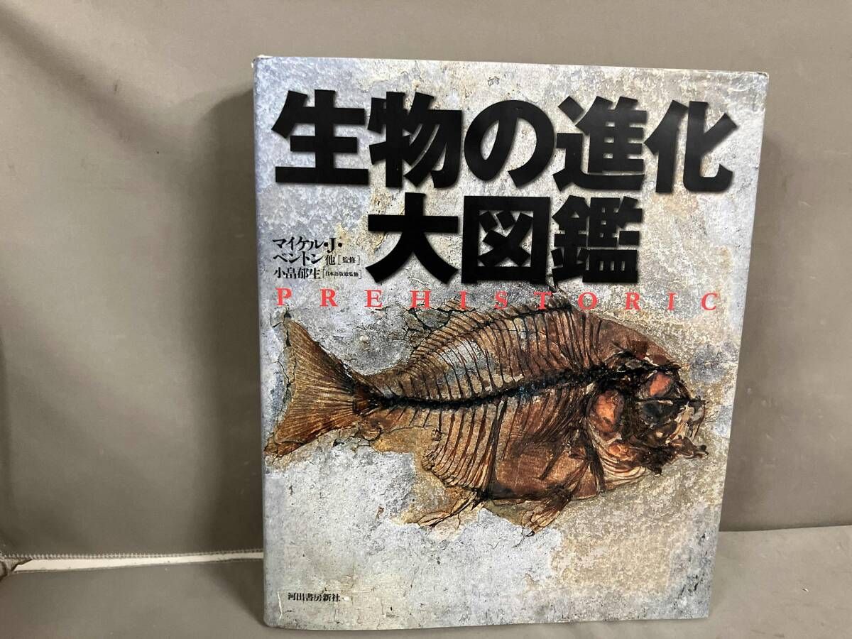 生物の進化大図鑑コンパクト版 :マイケル・J・ベントン,小畠 郁生 生物 
