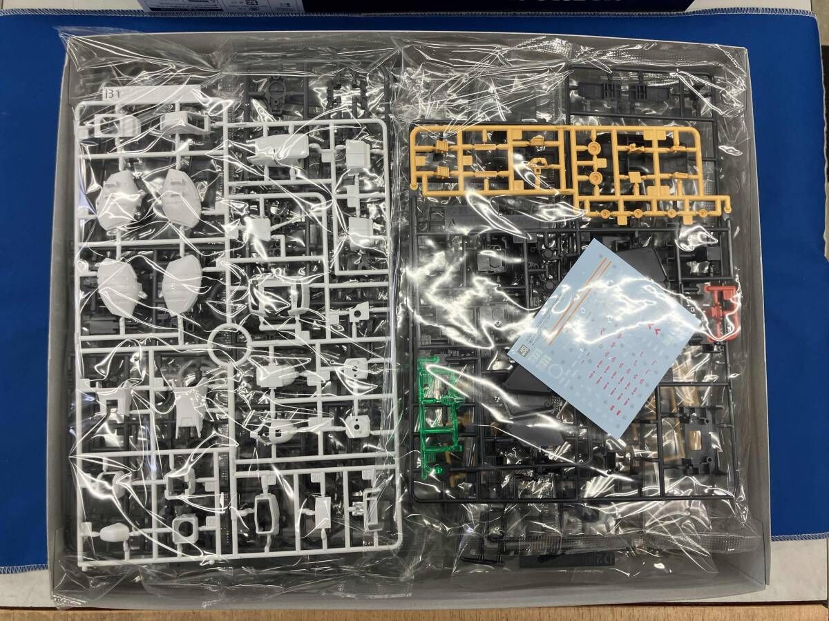 プラモデル バンダイ 1 100 RGM 79 DO ジム ドミナンス フィリップ ヒューズ機 MG 機動戦士ガンダム 外伝 THE BLUE DESTINY プレバン