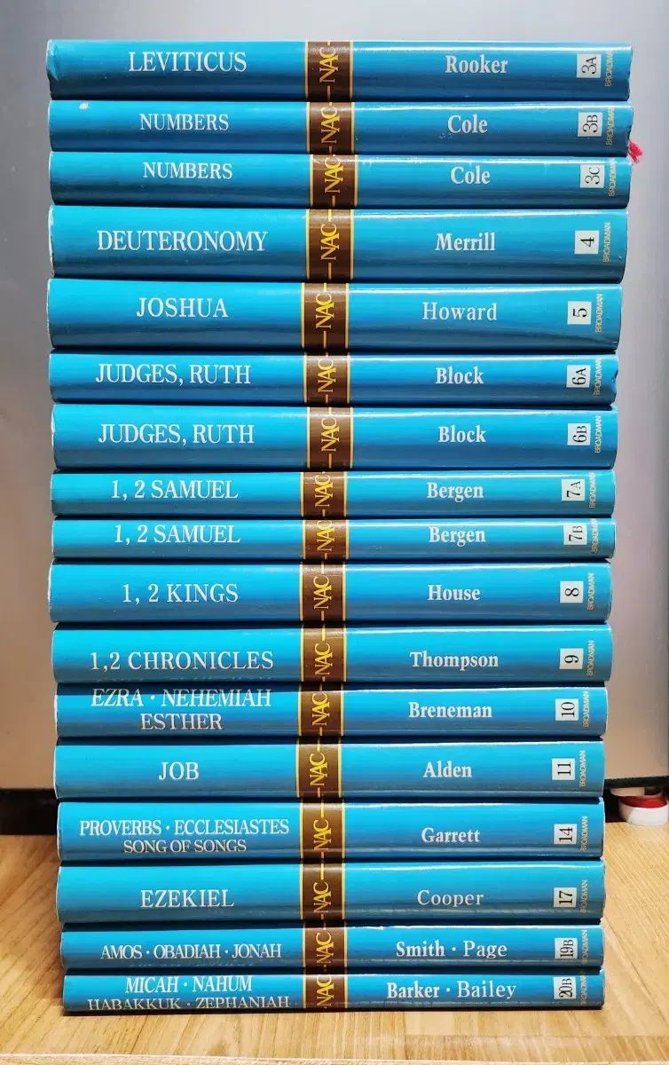 ニューアメリカン コメンタリー interpretation 注釈です