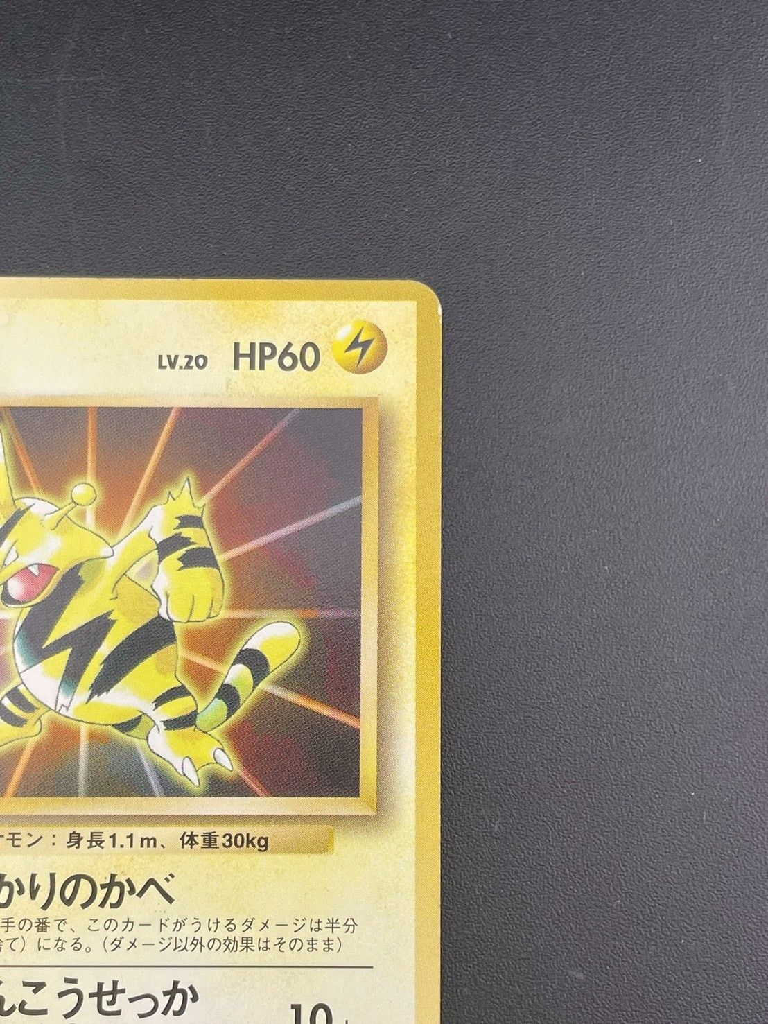 中古品】エレブー LV.20 No.125 PMCGシリーズ プロモーションカード 旧