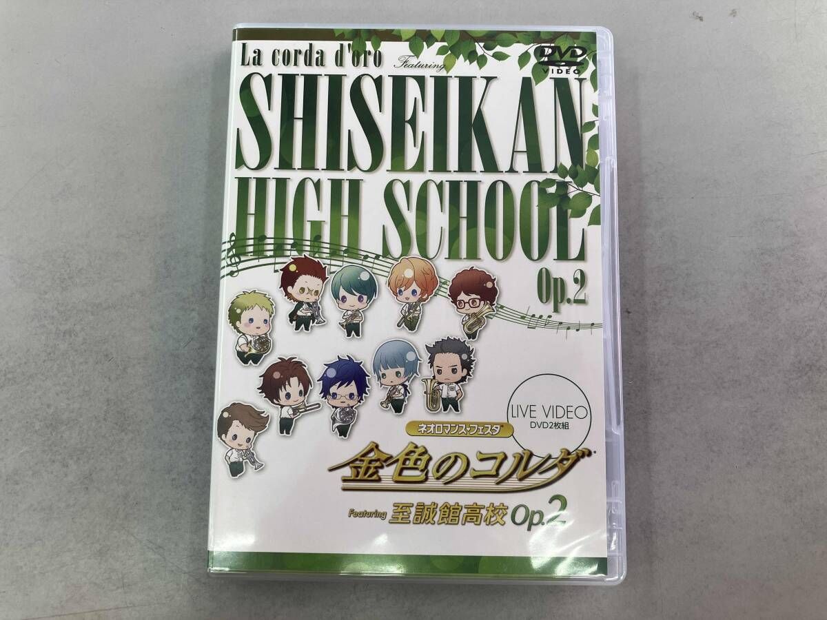 袋帯 菊花七宝 白地 リーズナブル 六通 有職 お仕立て込み