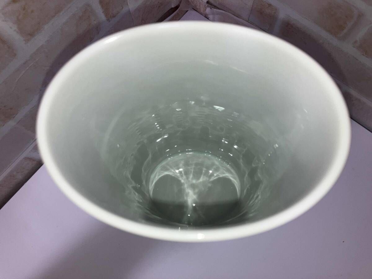 Rosenthal タピオ・ヴィルカラ ホワイトビスクパール ドロップオーバル