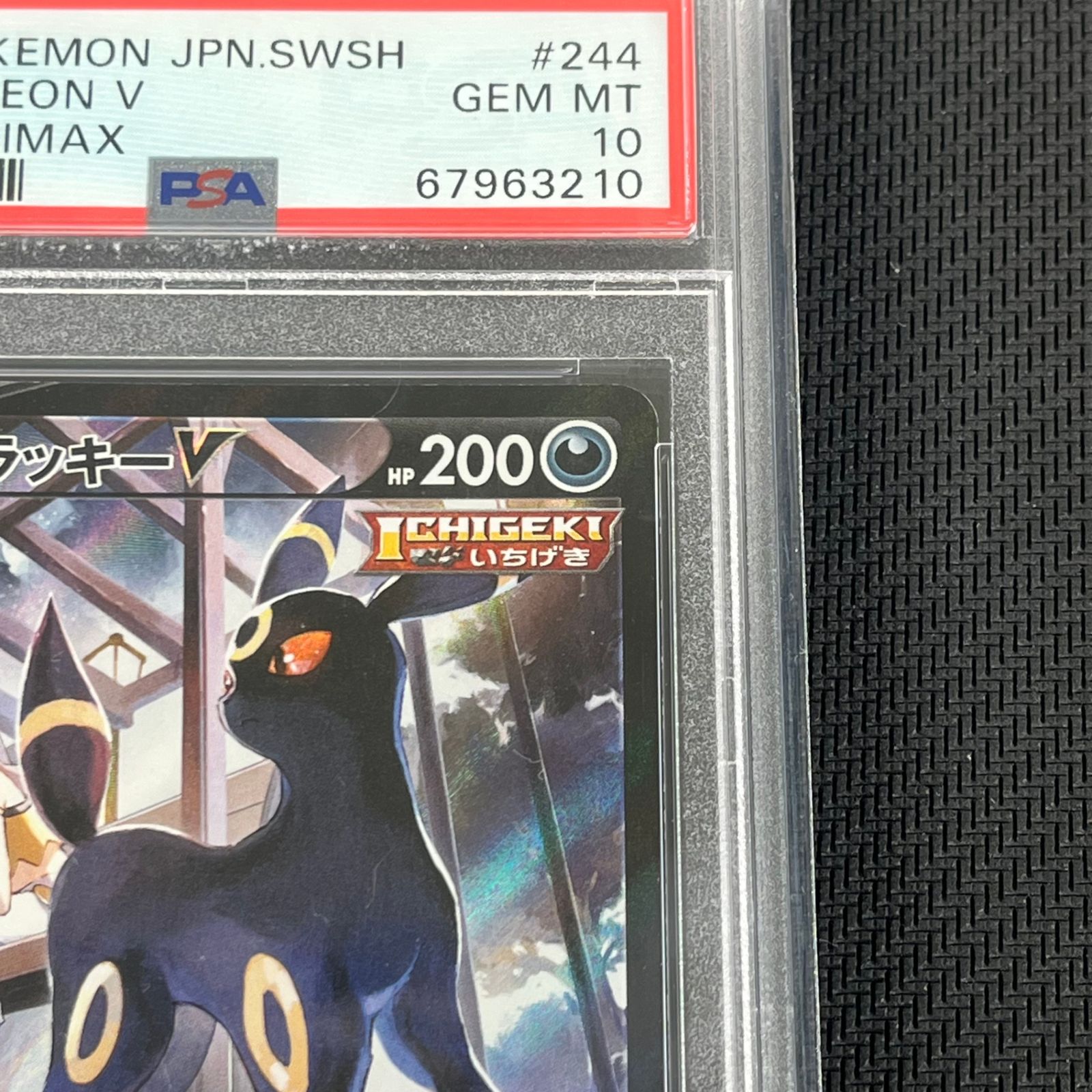 PSA10 ポケカ ブラッキーV CSR 244/184/S8B/B VMAXクライマックス
