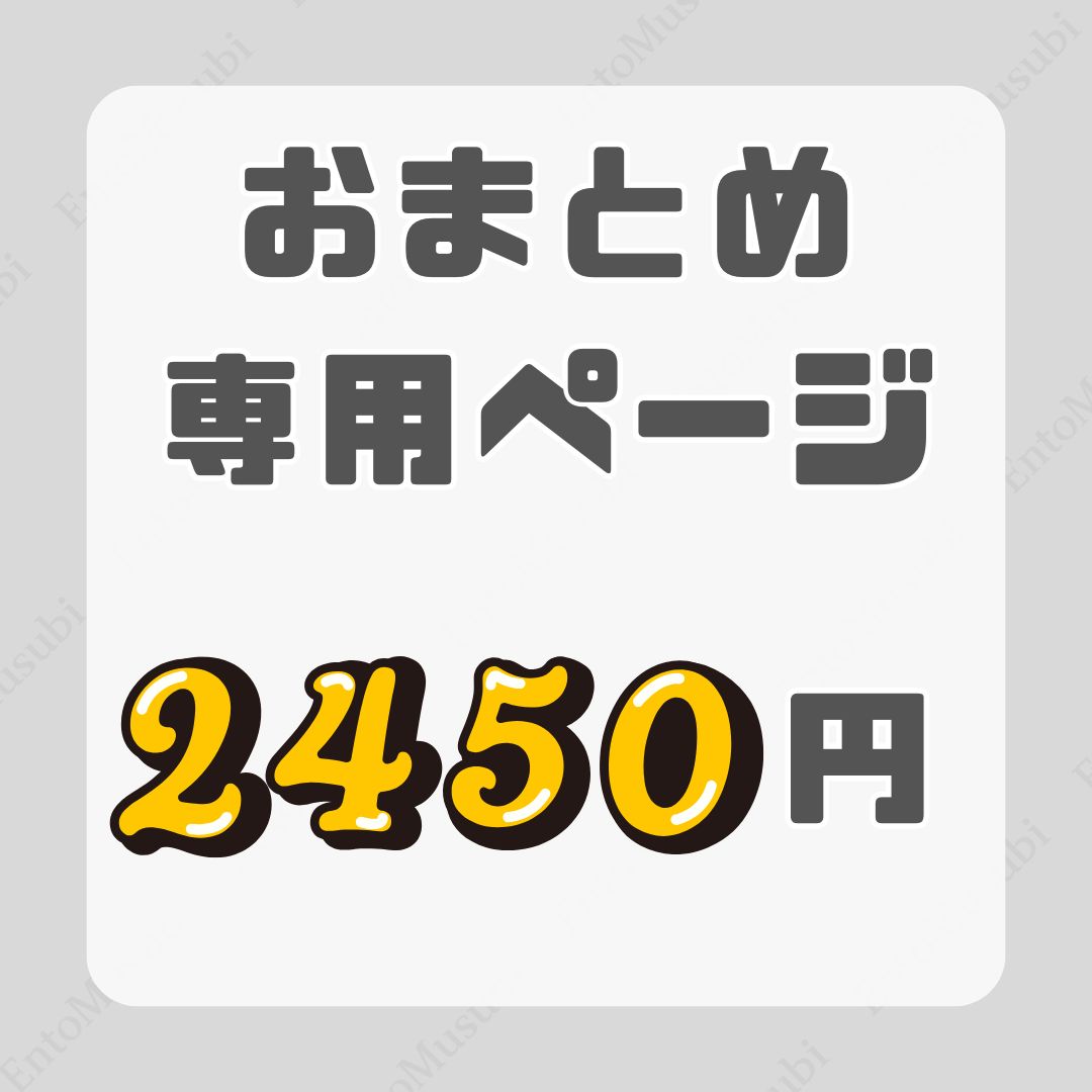 COCO様おまとめ購入専用ページ 専用品】おまとめページ COCO様おまとめ購入専用ページ まとめ買い依頼
