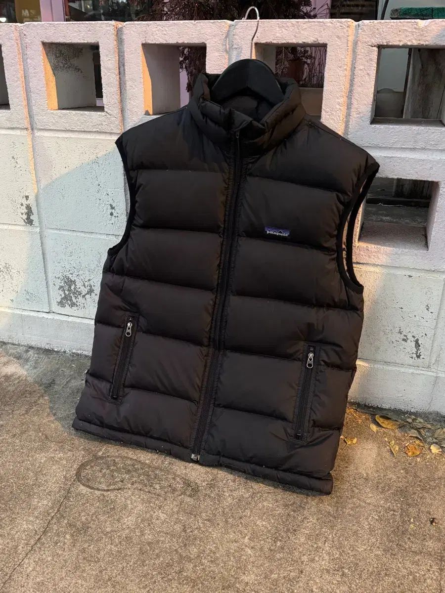 パタゴニア ダウン パファー ダウンベスト