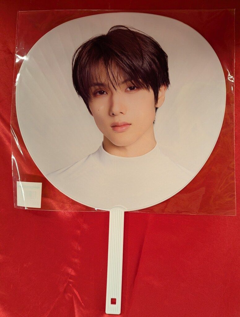 NCT DREAM 2025 THE DREAM SHOW 4 DREAM THE FUTURE in JAPAN JISUNG