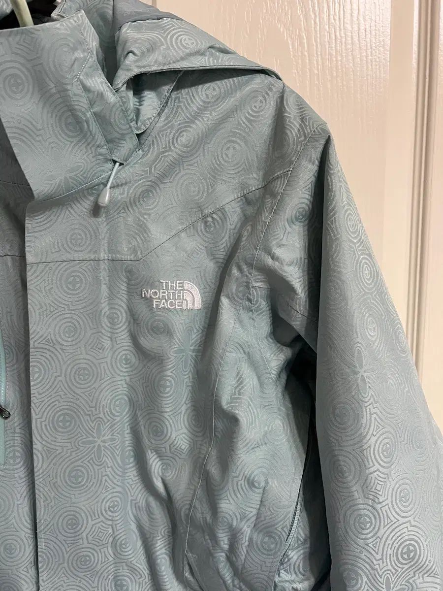 THE NORTH FACE GORE-TEX ダウンジャケット