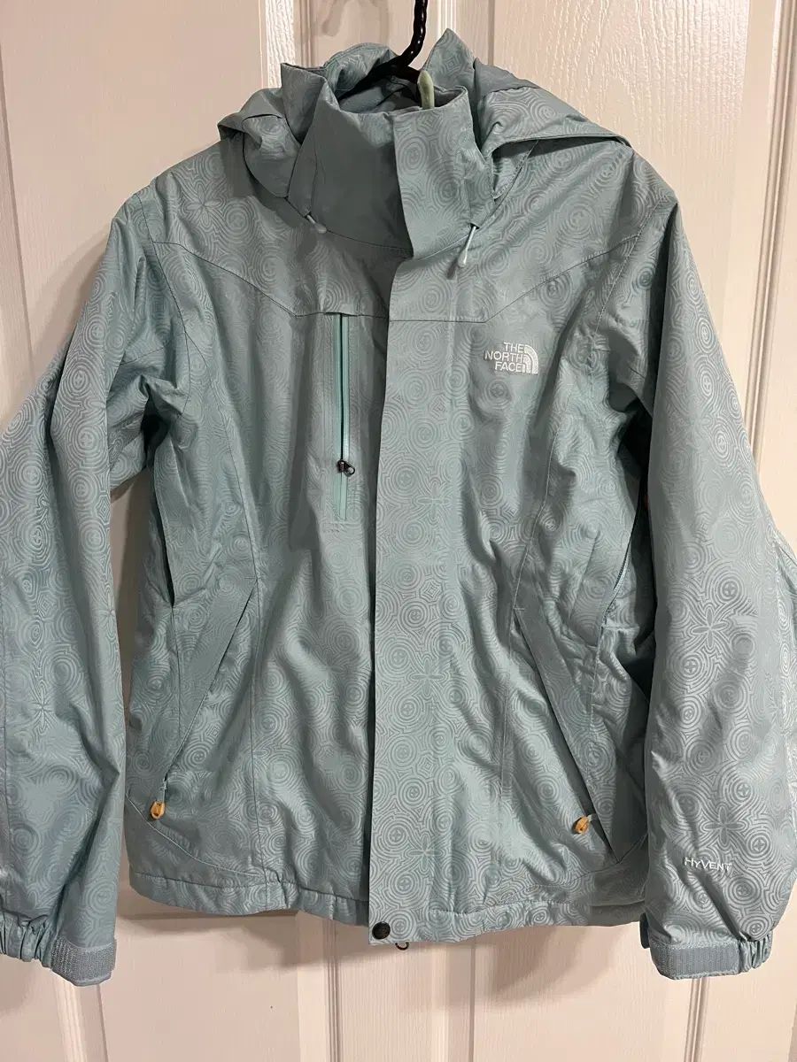 THE NORTH FACE GORE TEX ダウンジャケット