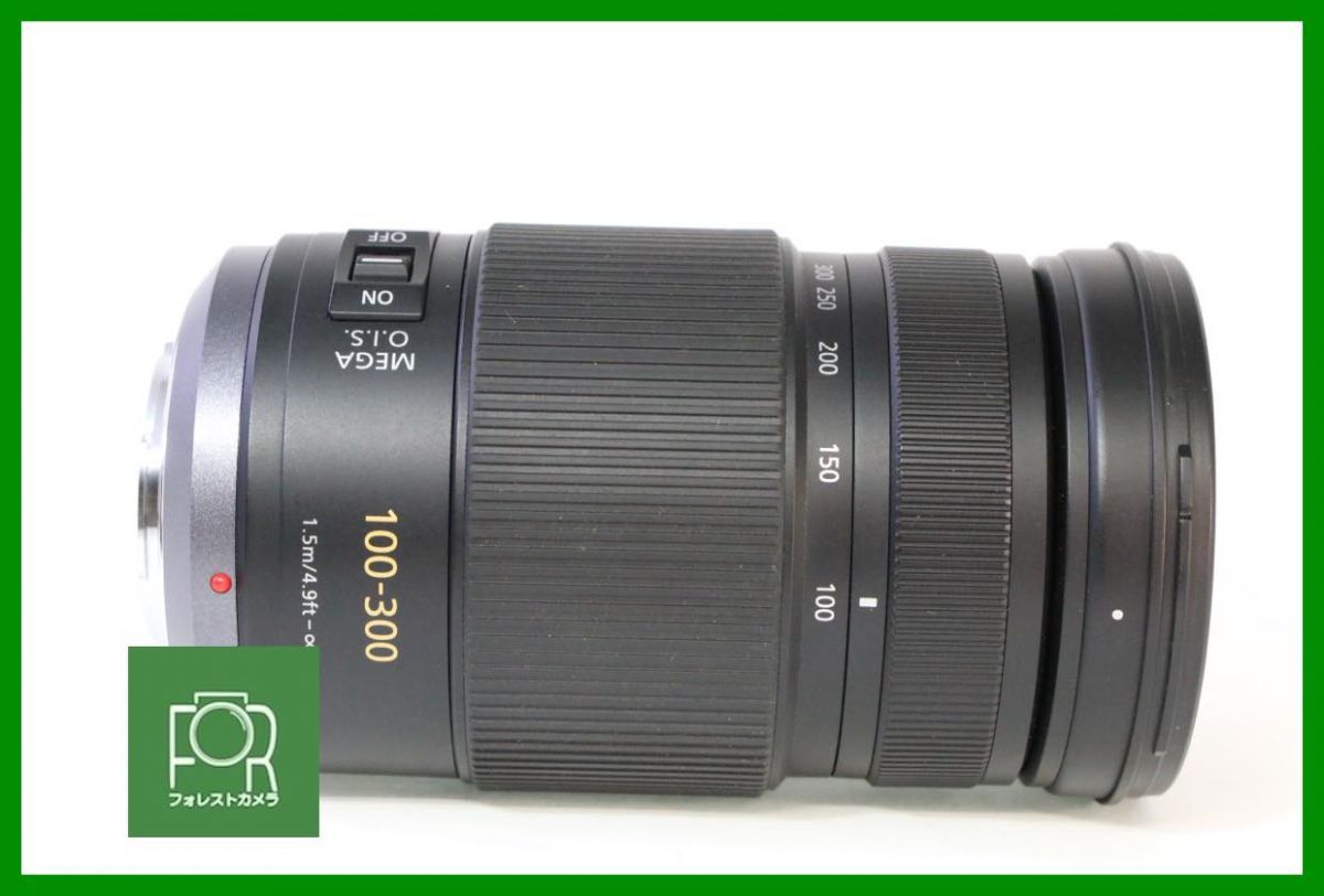 点検済 上品 パナソニック LUMIX G VARIO 100 300 mm F 4 5 6 MEGA O I S 元 き AB 1157