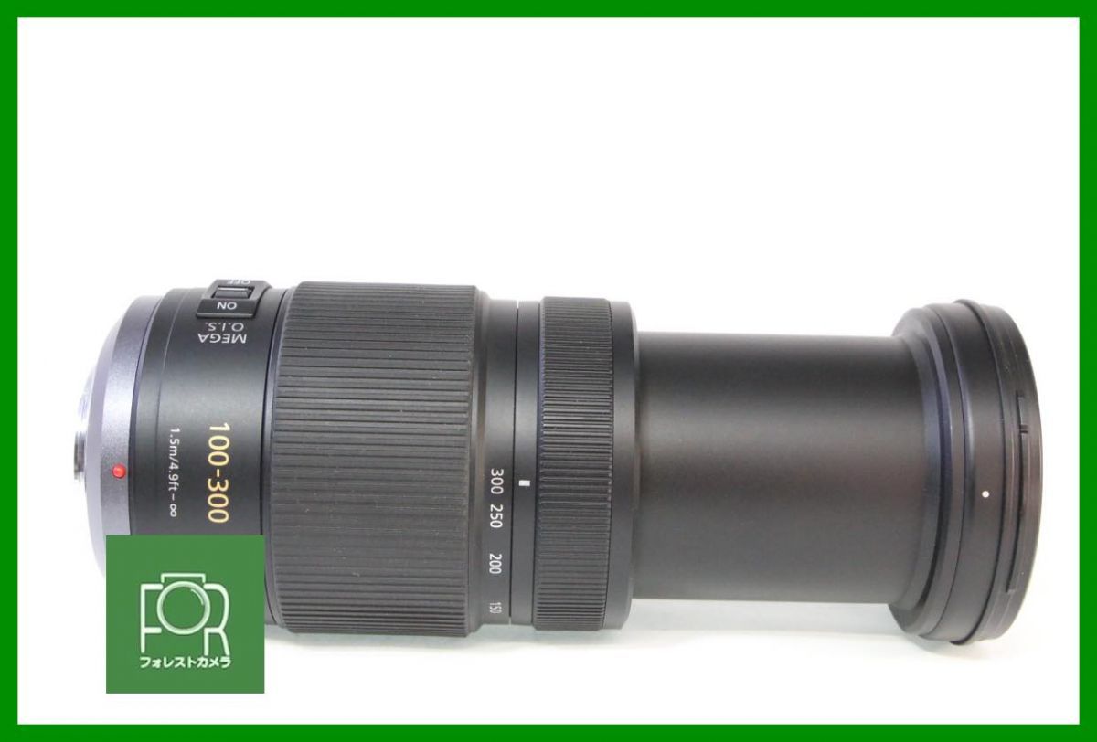  点検済 上品 パナソニック LUMIX G VARIO 100-300 mm F 4-5.6 MEGA O.I.S. 元 き AB 1157 その他 レンズフィルター