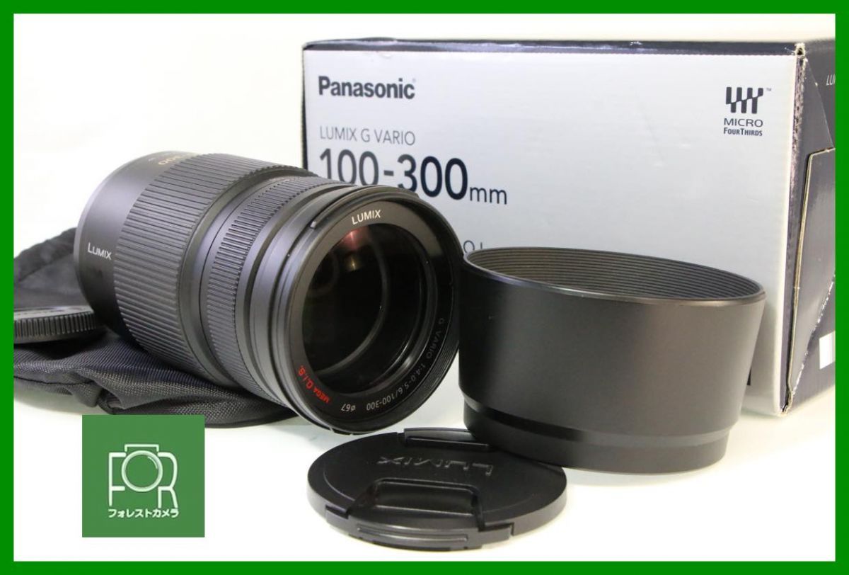 点検済 上品 パナソニック LUMIX G VARIO 100-300 mm F 4-5.6 MEGA O.I.S. 元 き AB 1157