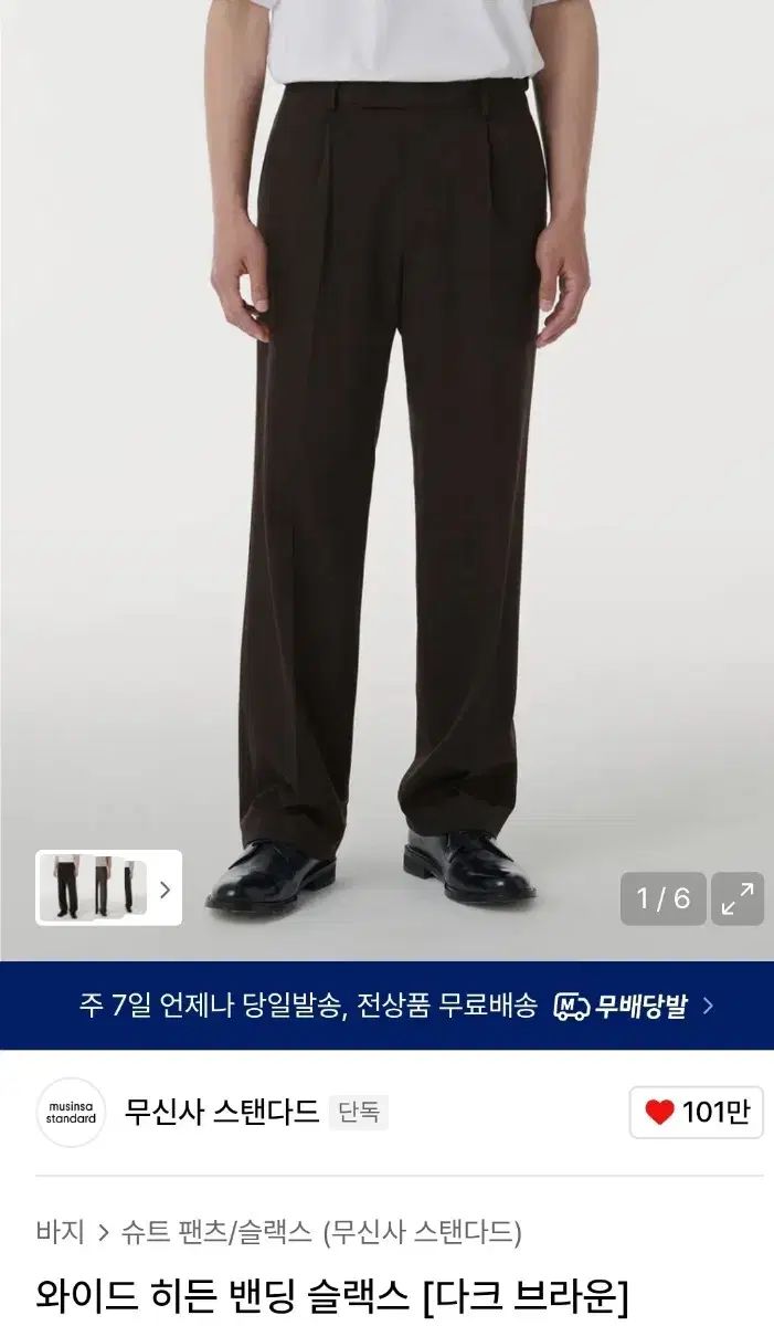 2月入荷 1000粒 ブラヘア スーパーシルバー 種 種子 証明書 アルマータ