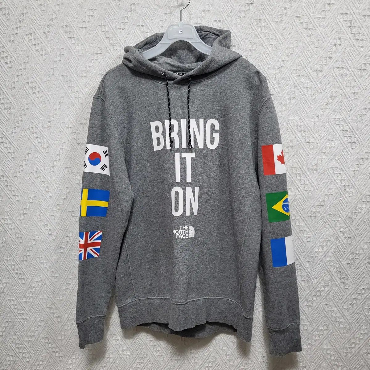 ラ140 THE NORTH FACE ザノースフェイス メンズ フラッグクルー フーディー S