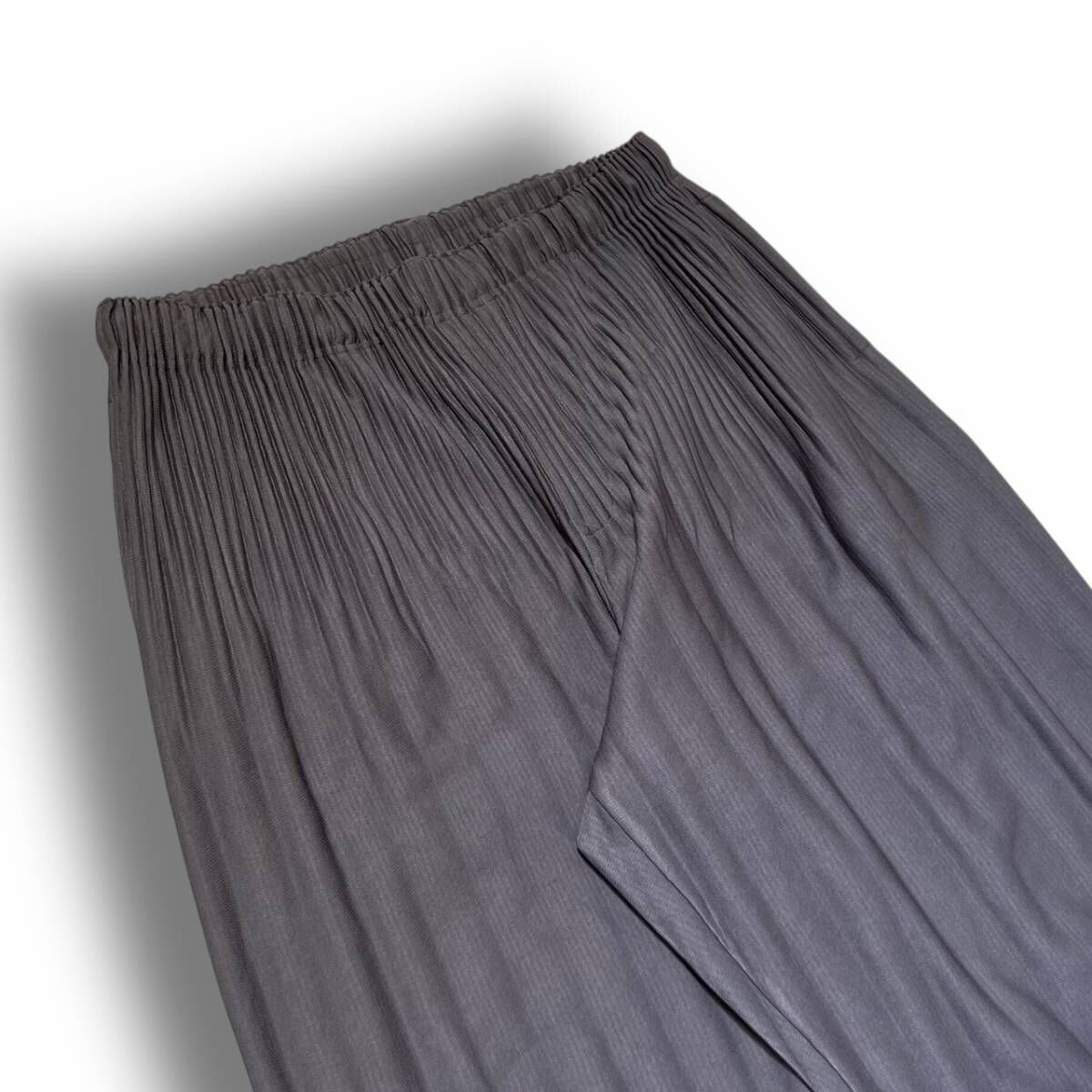 HOMME PLISSE ISSEY MIYAKE 消しプリーツクロップドパンツ その他