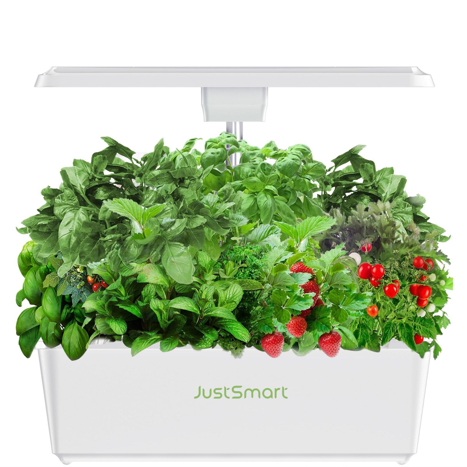 屋内家庭菜園用水耕栽培キット - IGS-20 SE ホワイト LEDライト 自動循環システム 高さ調節機能付き