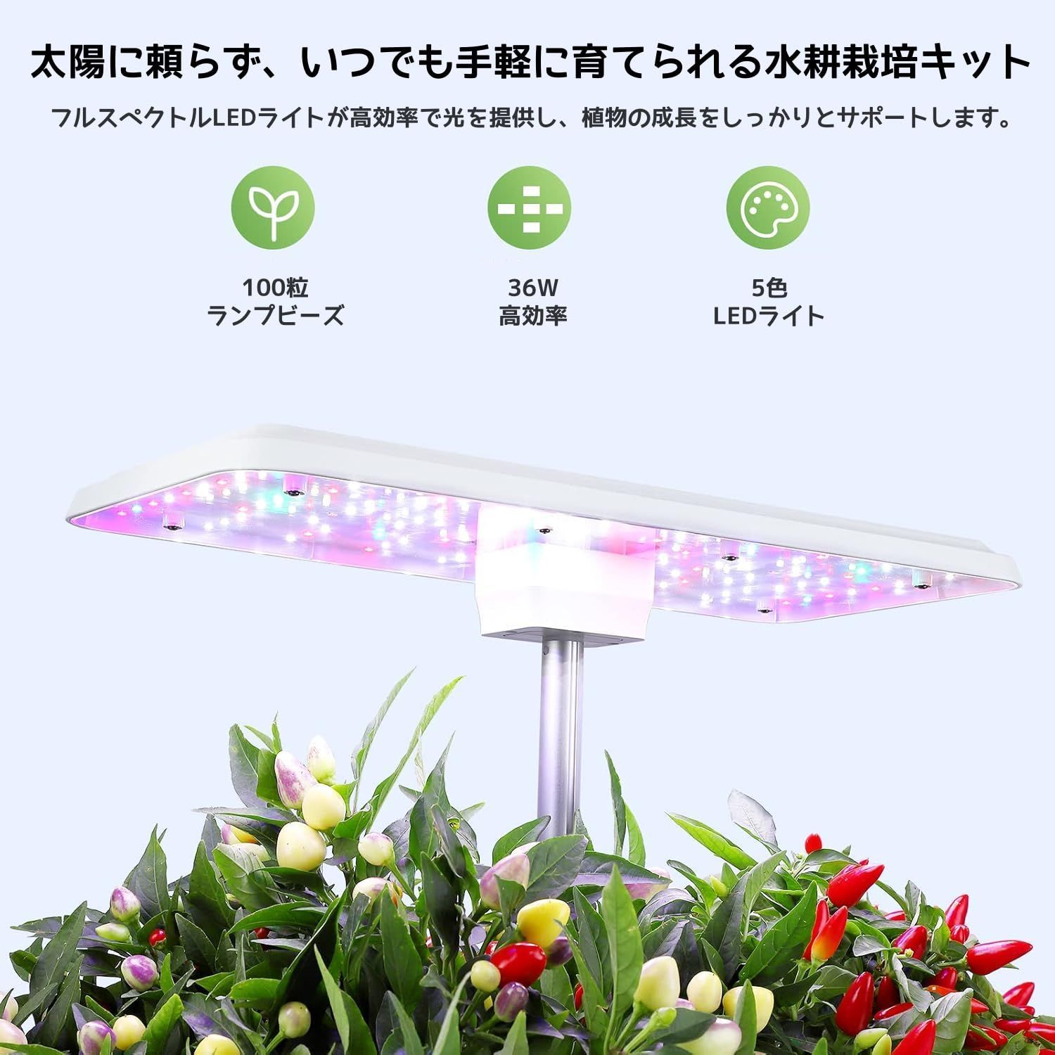 屋内家庭菜園用水耕栽培キット - IGS-20SE、LEDライト、自動循環