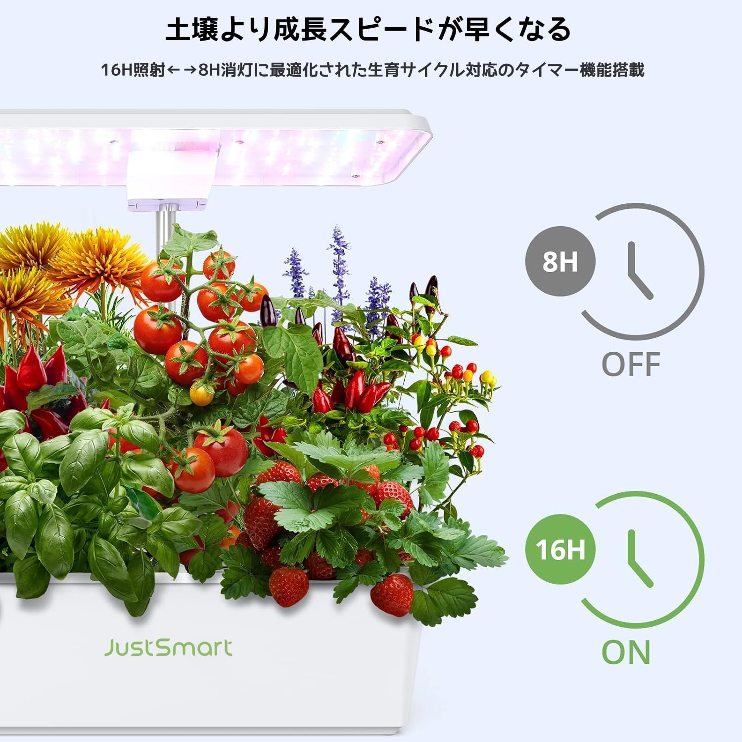 屋内家庭菜園用水耕栽培キット - IGS-20SE、LEDライト、自動循環