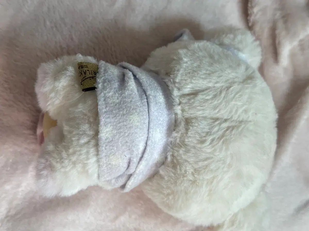 コリラックマ パジャマパーティー ストア限定 ぬいぐるみ トップ