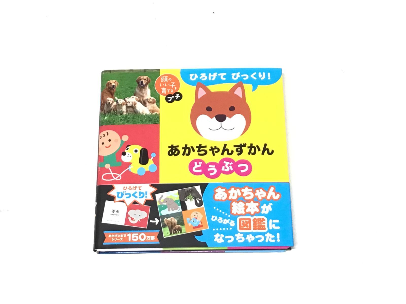 A703 頭のいい子を育てるプチ ひろげてびっくりあかちゃんずかん