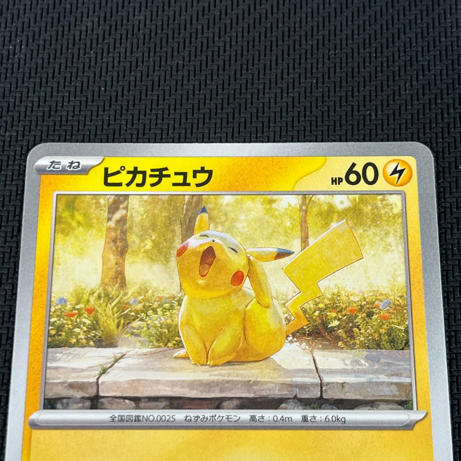 ポケカ ピカチュウ PROMO プロモ 242/SV-P illustration contest 2024