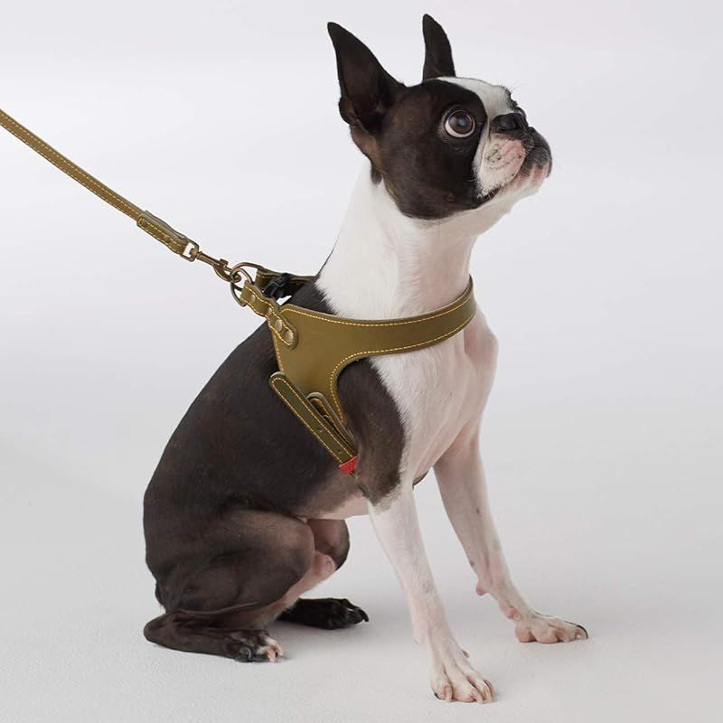 彡アドメイト ADD.MATE アンティークレザースタイルハーネス SSサイズ レッド 1