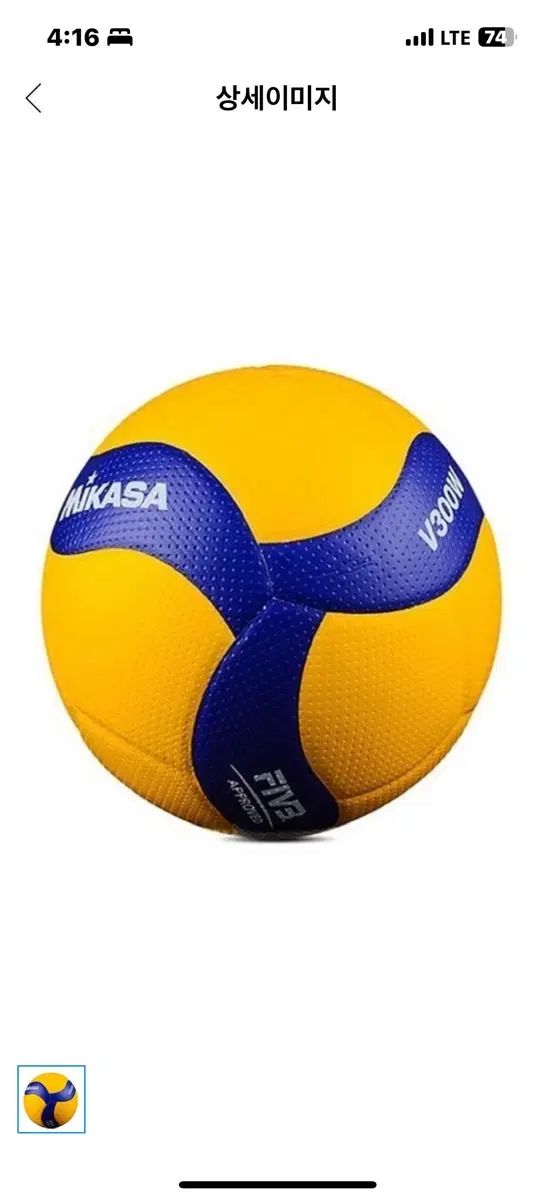 ミカサ バレーボール v 300 w