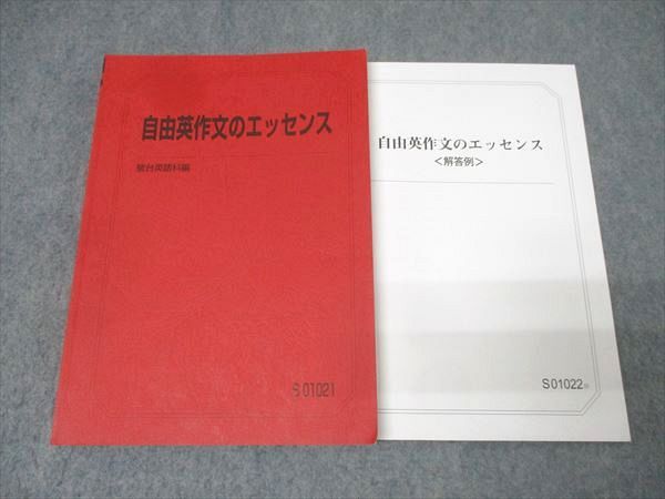駿台 英語 自由英作文のエッセンス テキスト 2022 竹岡広信 022S0C