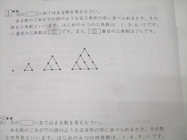 SAPIX 小学5年 算数 デイリー/サマーサピックス/サポート 計102回分