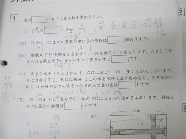 SAPIX 小学5年 算数 デイリー/サマーサピックス/サポート 計102回分