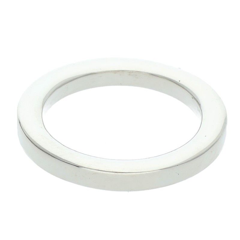 クロムハーツ NTFL シルバーリング メンズ 9号 - メルカリ