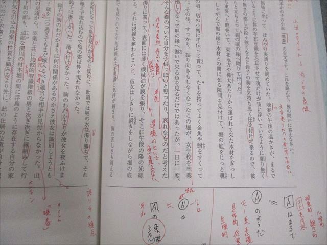 現代文 読解の応用講義　駿台予備校 駿台 現代文 読解の応用講義 テキスト 2024 中野芳樹 008m0D