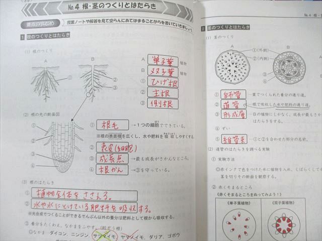 浜学園 小5 サイエンス理科 第1～3分冊 通年セット 2023 計3冊 060M2D