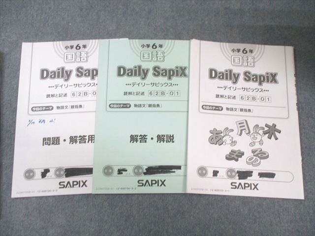 SAPIX 小6 サピックス デイリー/サマー 国語 【計56回分】 通年セット