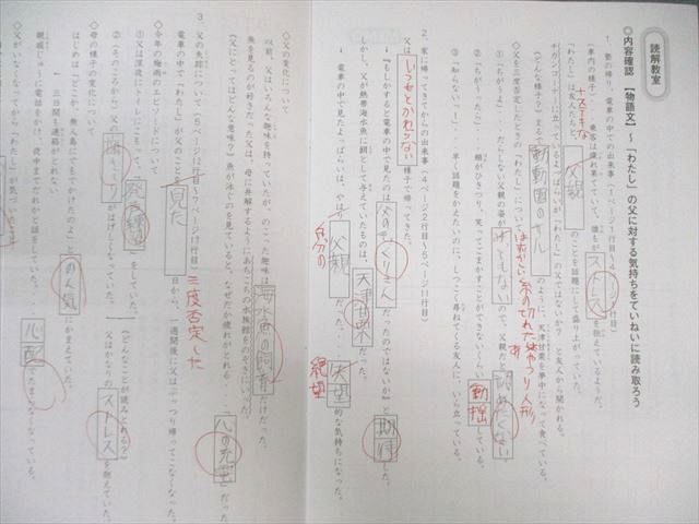 SAPIX 小6 サピックス デイリー/サマー 国語 【計56回分】 通年セット