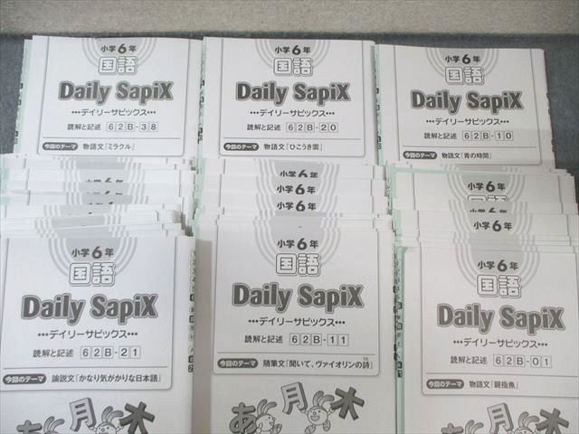 SAPIX 小6 サピックス デイリー/サマー 国語 【計56回分】 通年セット